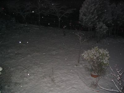 nieve3.JPG
